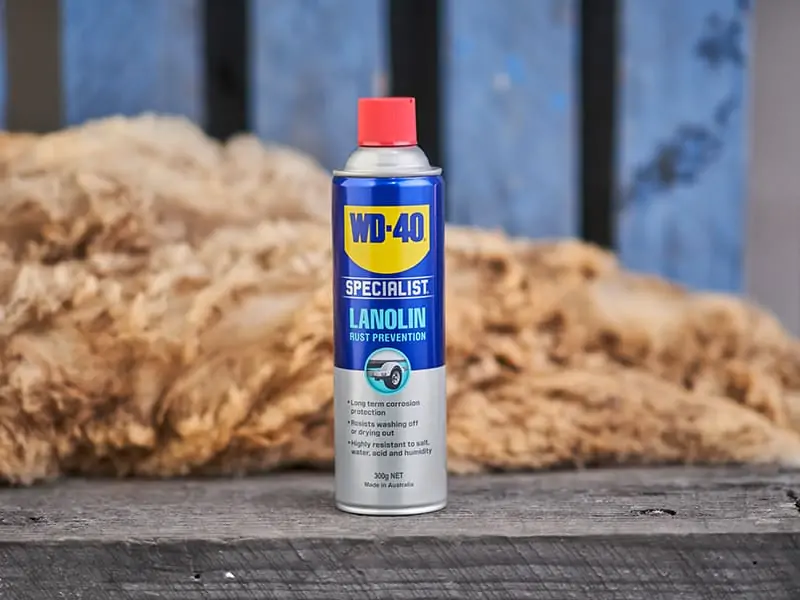 wd40-sp-lan-lifestyle